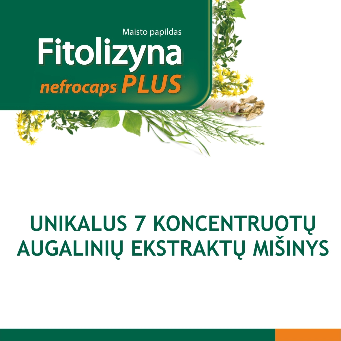 FITOLIZYNA inkstų, šlapimo veiklai gerinti NEFROCAPS PLUS, 30 kapsulių -  2